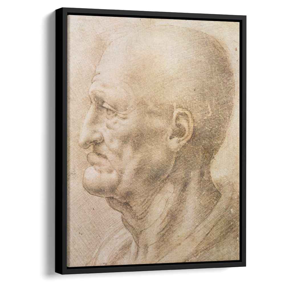 Profile of an old man (1505) by Leonardo da Vinci - Canvas Artwork