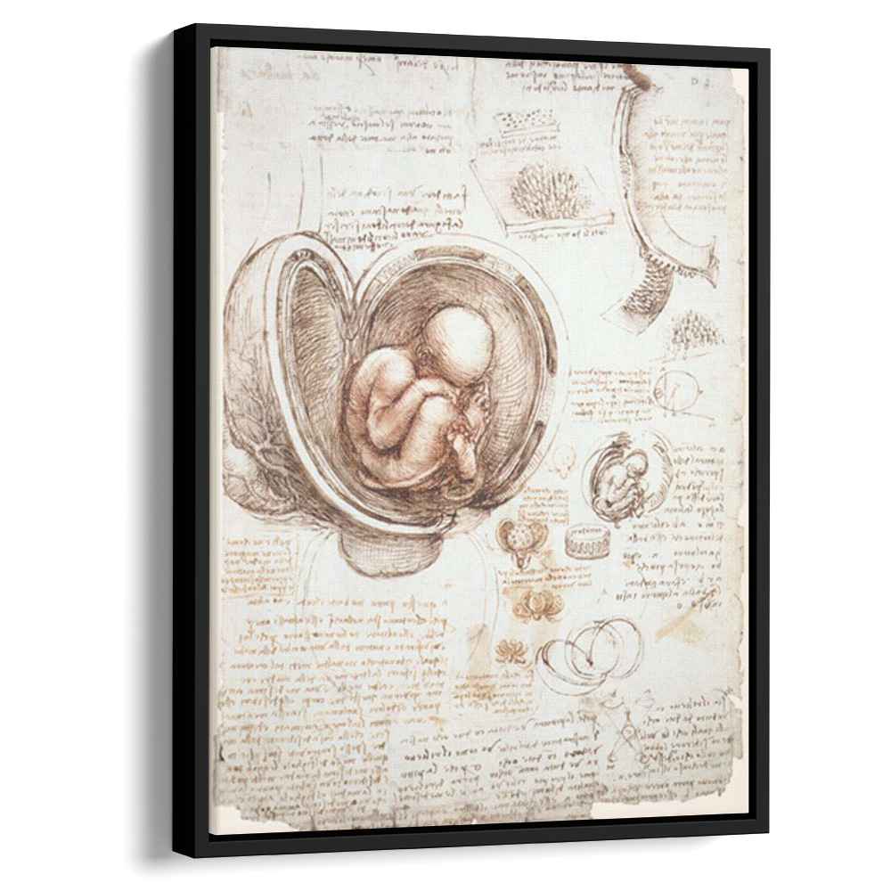 Studies of the foetus in the womb (1513) by Leonardo da Vinci