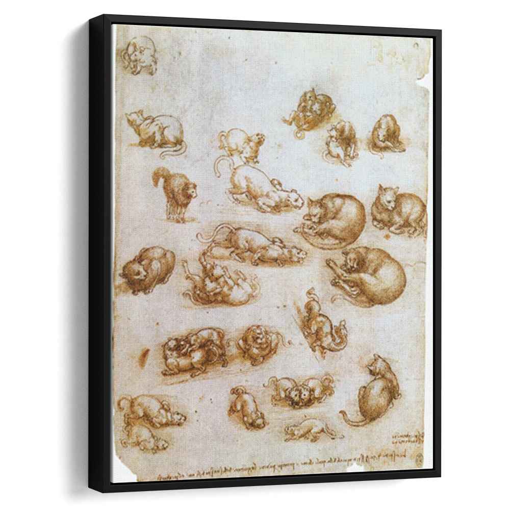 study-sheet-with-cats-dragon-