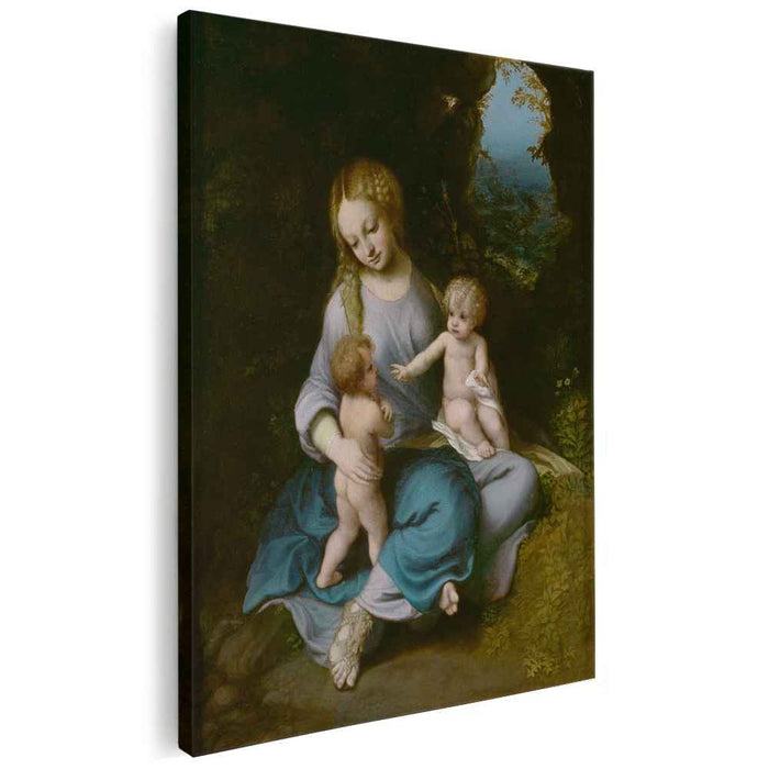 Madonna and Child with the Young Saint John (1516) by Correggio