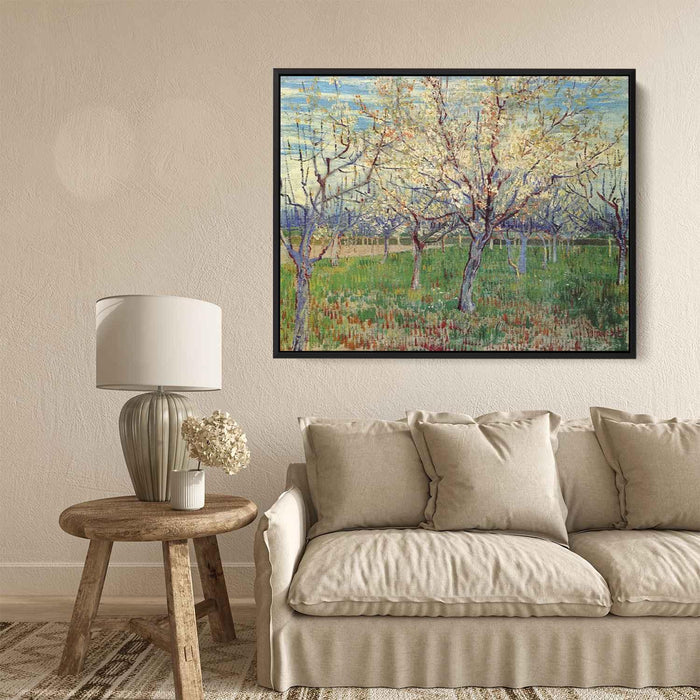 Orchard with Blossoming Apricot Trees (1888) by Vincent van Gogh - Canvas Artwork