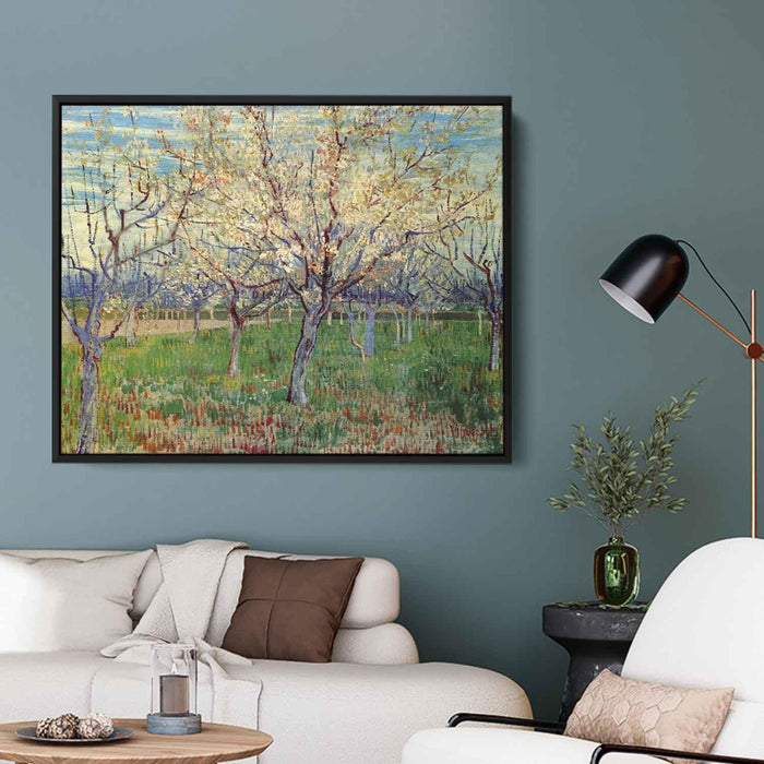 Orchard with Blossoming Apricot Trees (1888) by Vincent van Gogh - Canvas Artwork