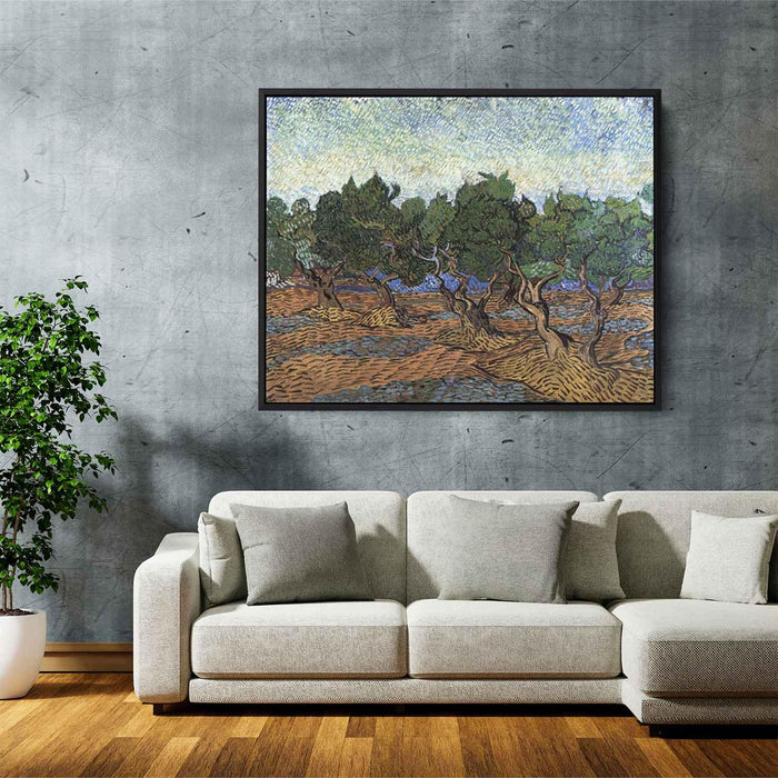 Olive Grove (1889) by Vincent van Gogh - Canvas Artwork