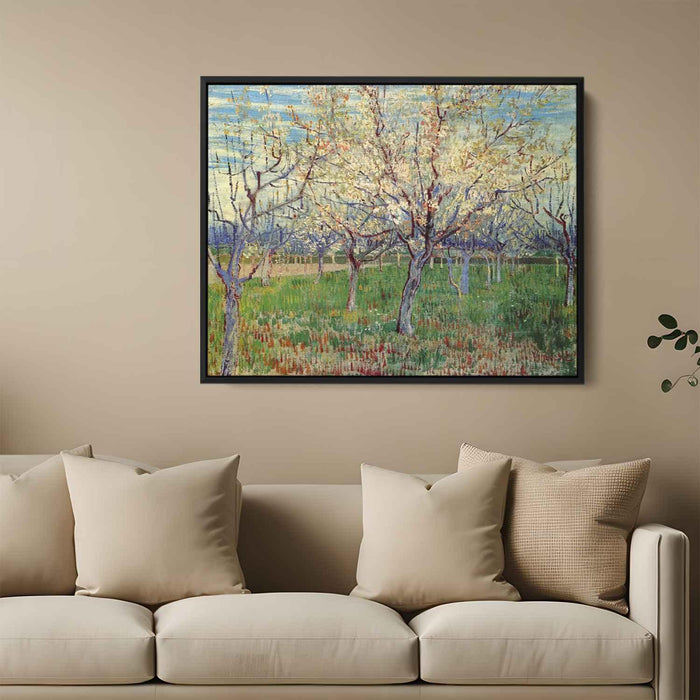 Orchard with Blossoming Apricot Trees (1888) by Vincent van Gogh - Canvas Artwork