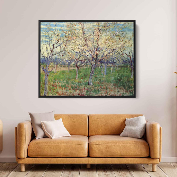 Orchard with Blossoming Apricot Trees (1888) by Vincent van Gogh - Canvas Artwork