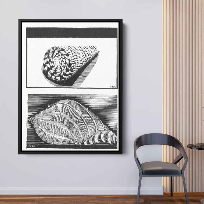 Sea Shells (1919) by M.C. Escher - Canvas Artwork
