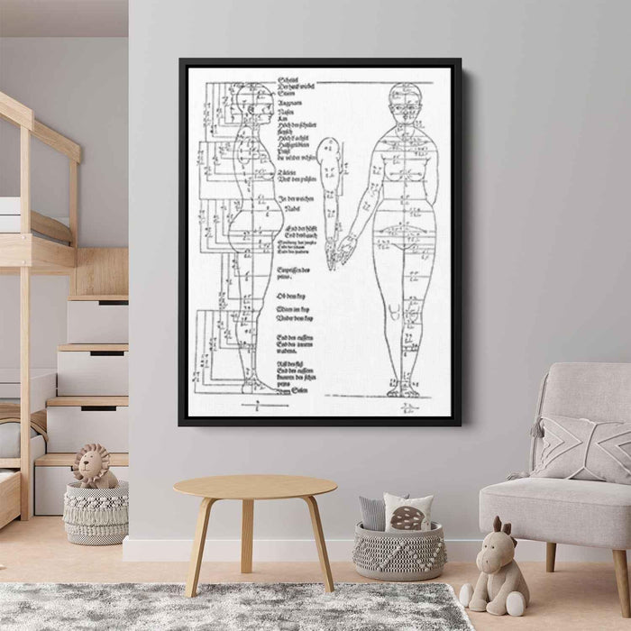 Studies on the Proportions of the Female Body (1528) by Albrecht Durer - Canvas Artwork