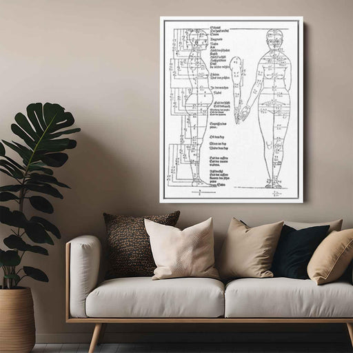 Studies on the Proportions of the Female Body (1528) by Albrecht Durer - Canvas Artwork