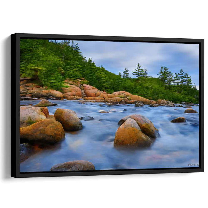 Abstract Acadia National Park #106