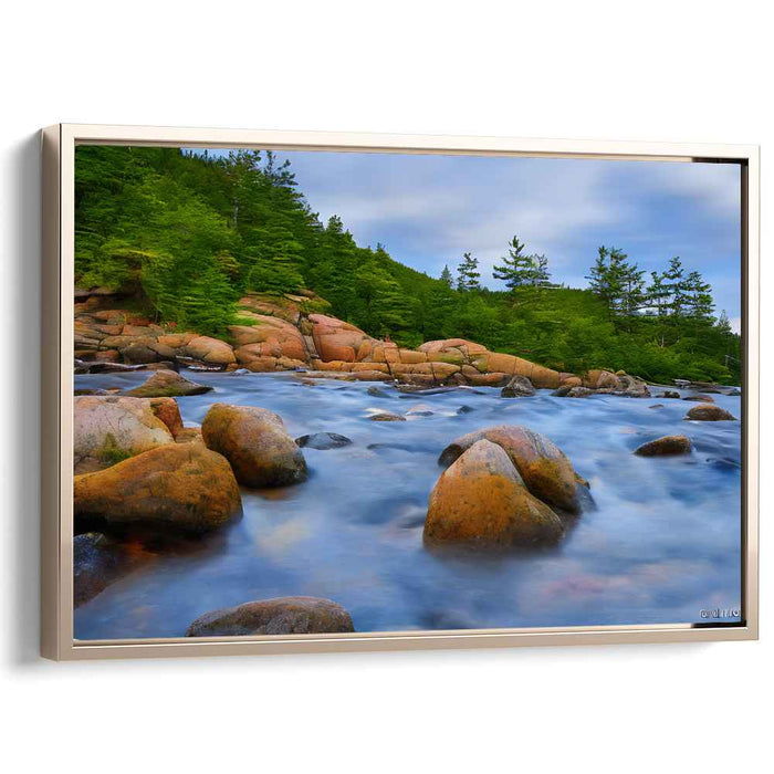 Abstract Acadia National Park #106