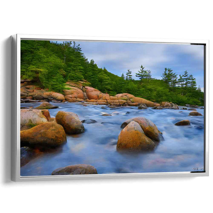 Abstract Acadia National Park #106