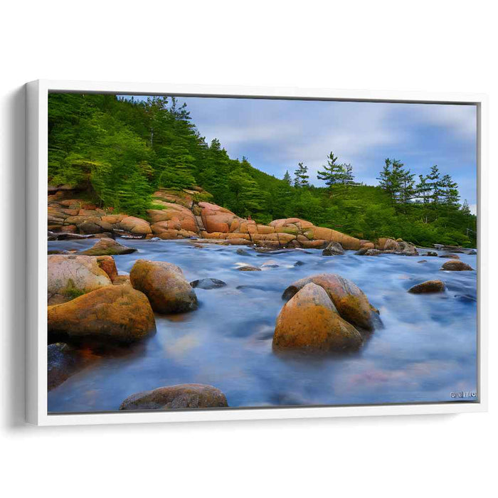 Abstract Acadia National Park #106