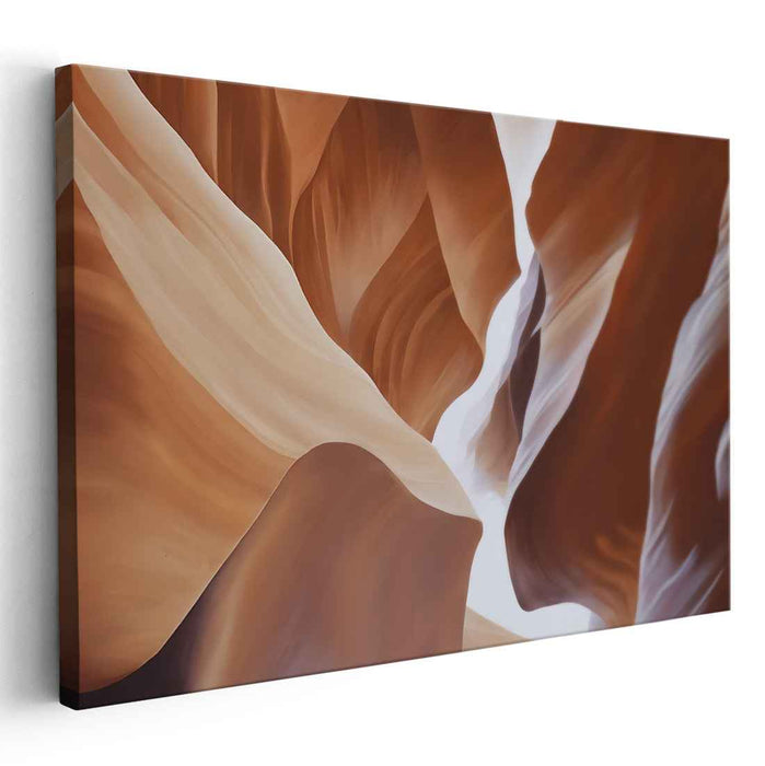 Shadows Dance in Sunlight: A Symphony of Light and Shadow