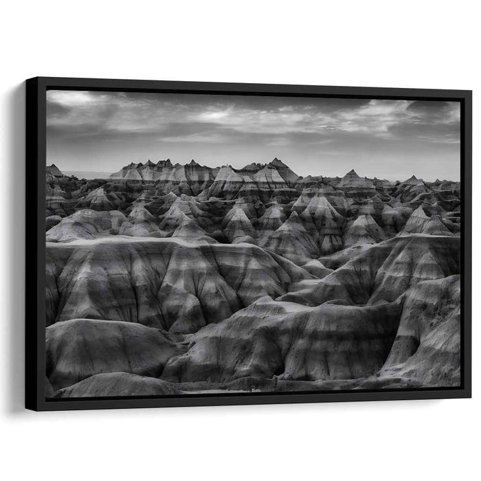Whispers In The Fog: Monochrome Landscape Photography Print