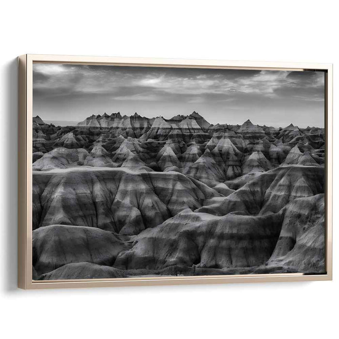 Whispers In The Fog: Monochrome Landscape Photography Print