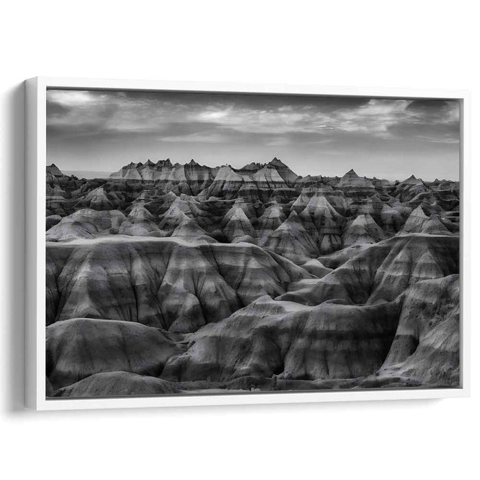 Whispers In The Fog: Monochrome Landscape Photography Print
