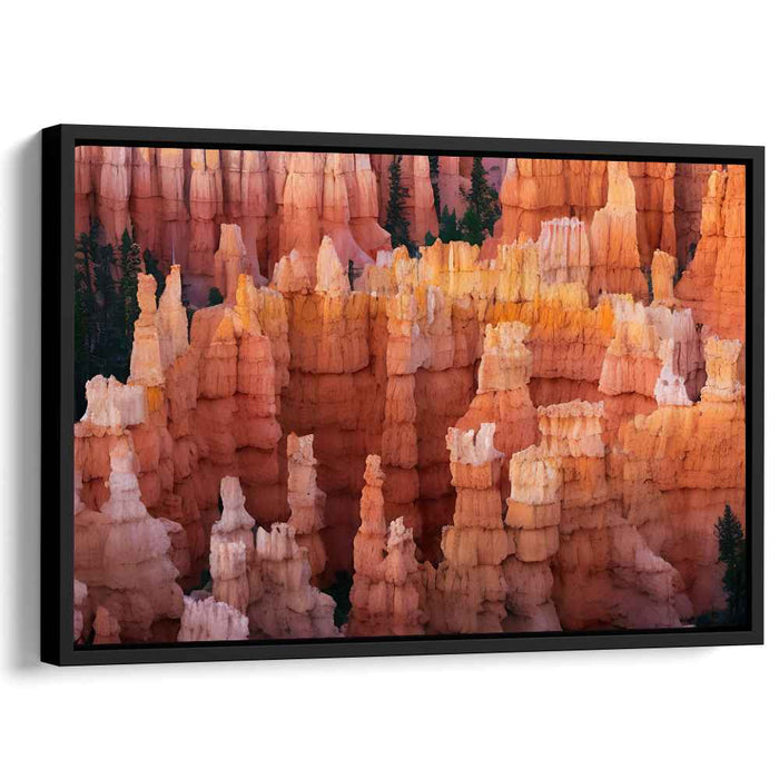 Echoes of Stone Forest: Bryce Canyon Hoodoos Canvas Art Print
