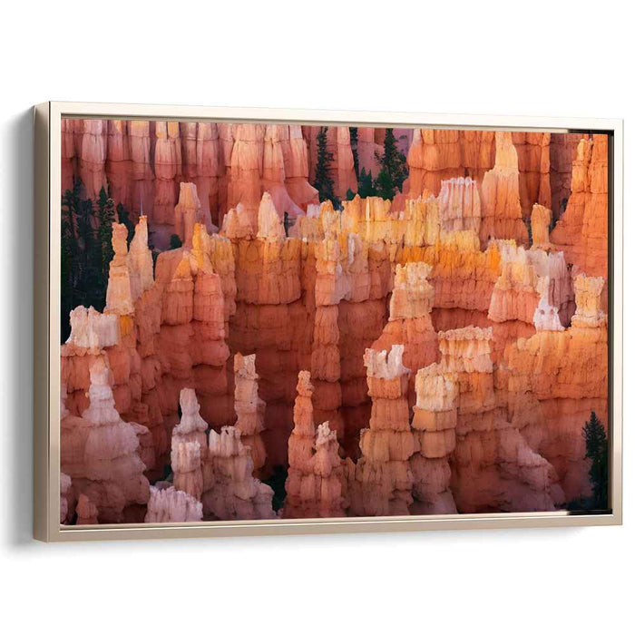 Echoes of Stone Forest: Bryce Canyon Hoodoos Canvas Art Print