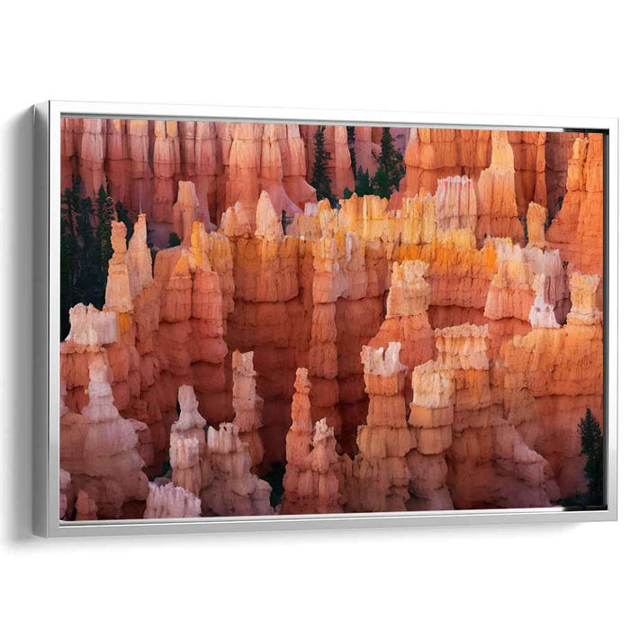 Echoes of Stone Forest: Bryce Canyon Hoodoos Canvas Art Print