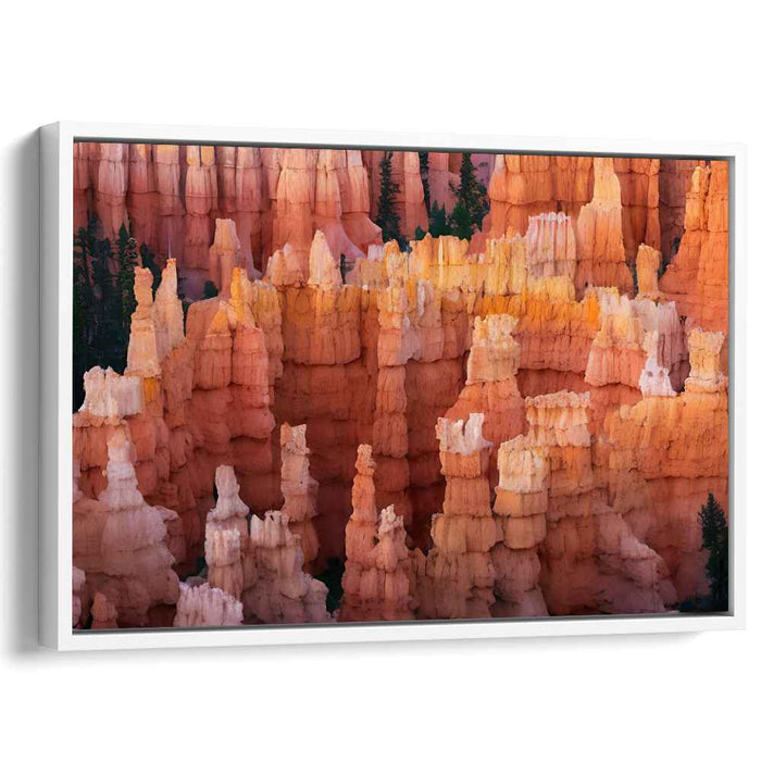 Echoes of Stone Forest: Bryce Canyon Hoodoos Canvas Art Print