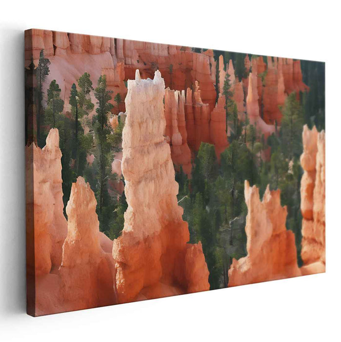 Abstract Bryce Canyon #158