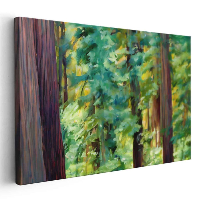 Abstract Redwoods National Park #102