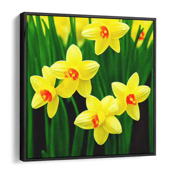 Acrylic Daffodils #001