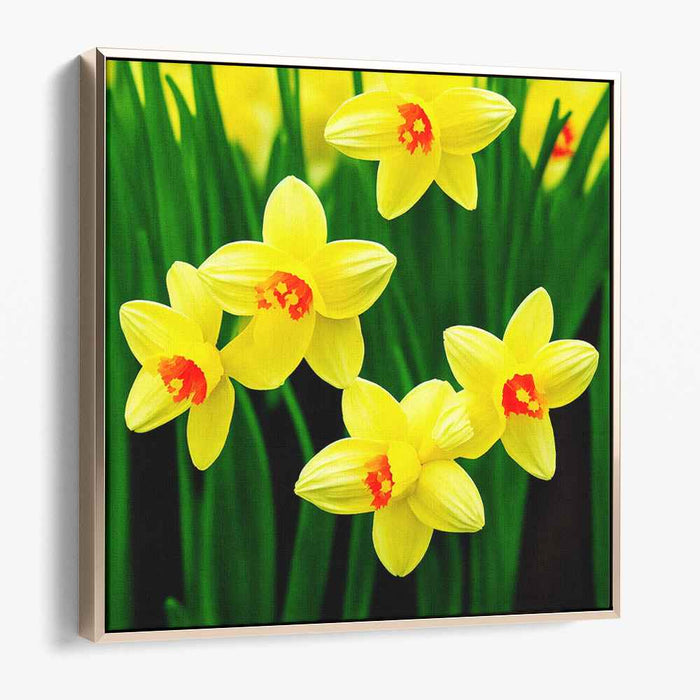 Acrylic Daffodils #001