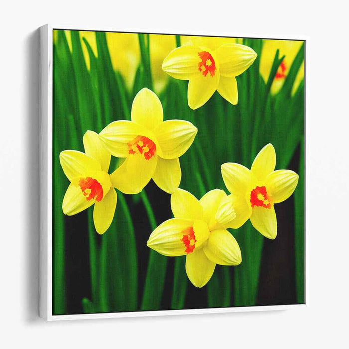 Acrylic Daffodils #001