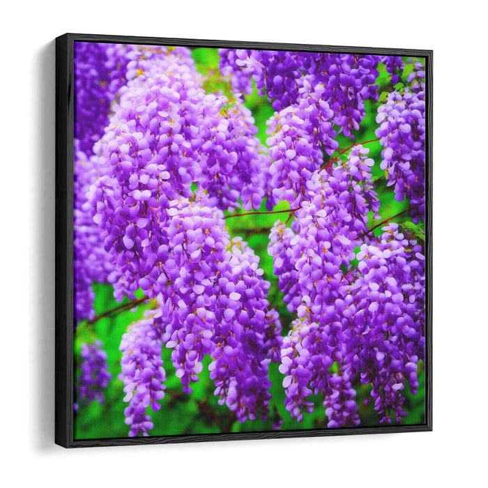 Wisteria Realism: Realistic Wisteria Blossoms Canvas Art Print