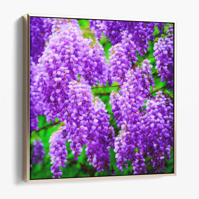 Wisteria Realism: Realistic Wisteria Blossoms Canvas Art Print