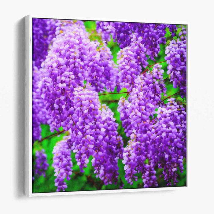 Wisteria Realism: Realistic Wisteria Blossoms Canvas Art Print