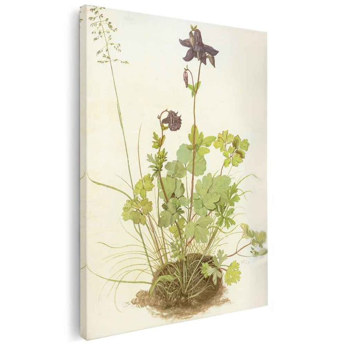 The Piece Of Turf With The Columbine (1526) by Albrecht Durer