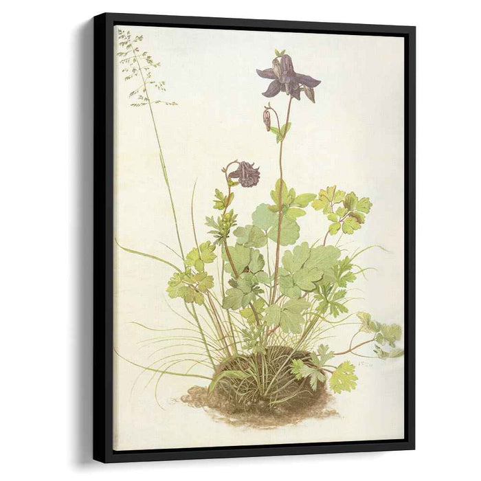 The Piece Of Turf With The Columbine (1526) by Albrecht Durer