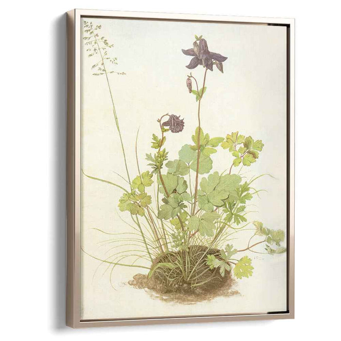 The Piece Of Turf With The Columbine (1526) by Albrecht Durer