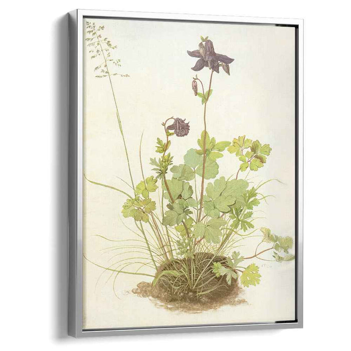 The Piece Of Turf With The Columbine (1526) by Albrecht Durer