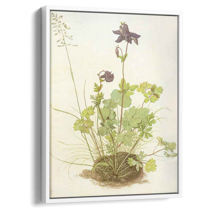 The Piece Of Turf With The Columbine (1526) by Albrecht Durer