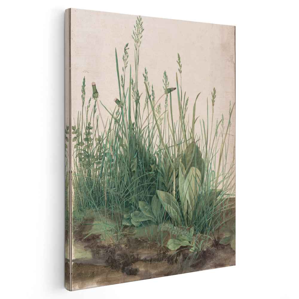 Great Piece of Turf (1503) by Albrecht Durer - Canvas Artwork — Kanvah
