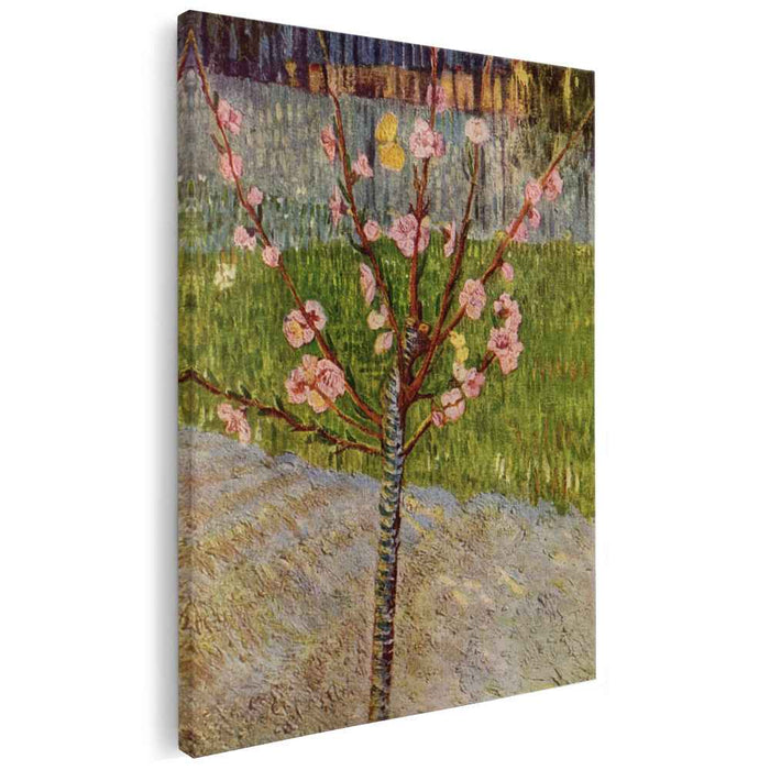 Almond Tree in Blossom (1888) by Vincent van Gogh