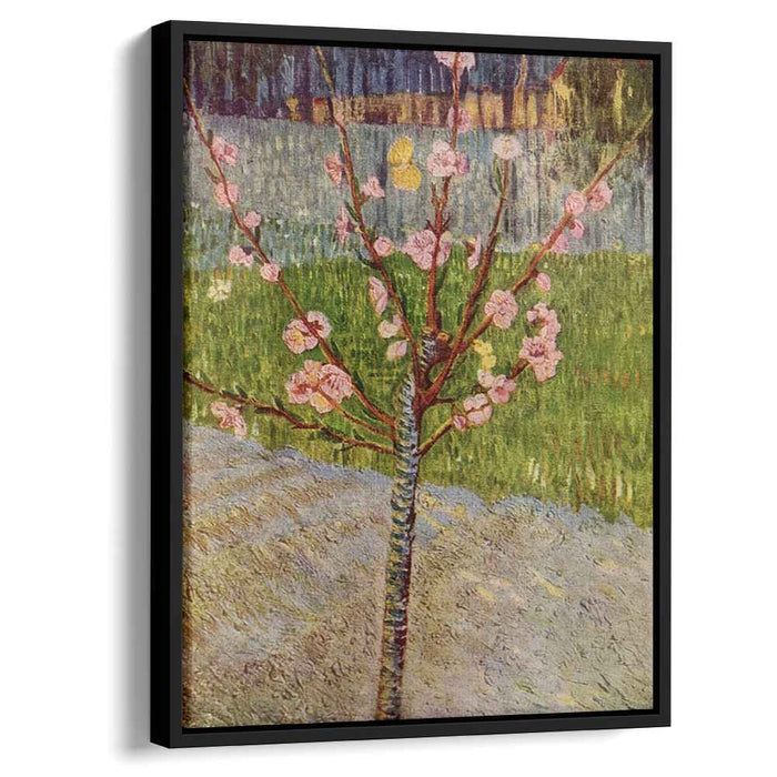 Almond Tree in Blossom (1888) by Vincent van Gogh