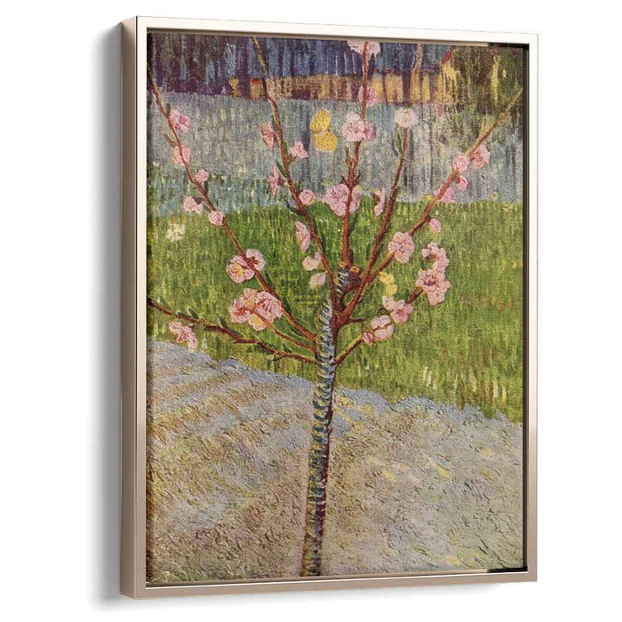 Almond Tree in Blossom (1888) by Vincent van Gogh