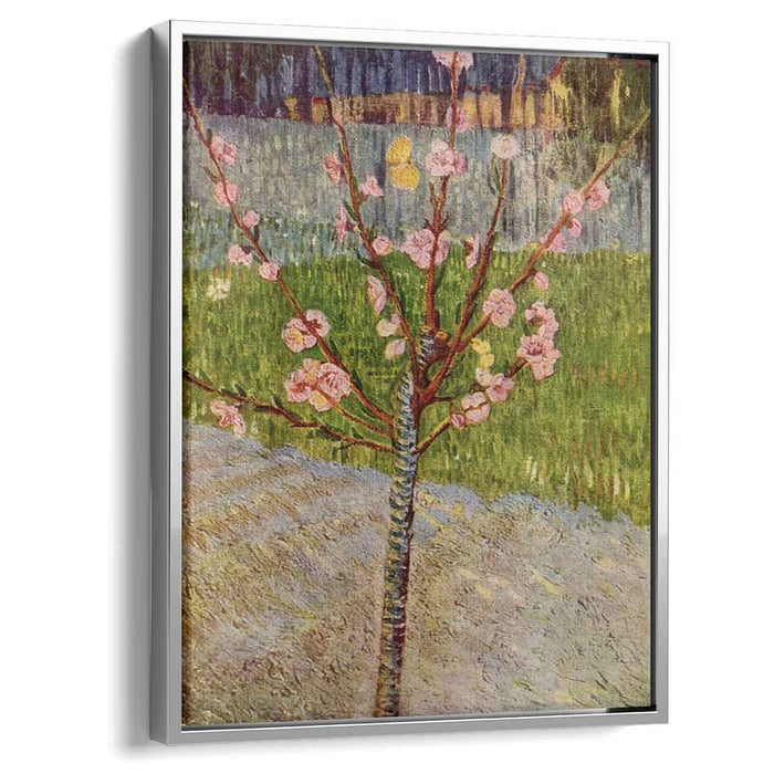 Almond Tree in Blossom (1888) by Vincent van Gogh