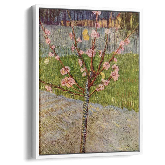 Almond Tree in Blossom (1888) by Vincent van Gogh