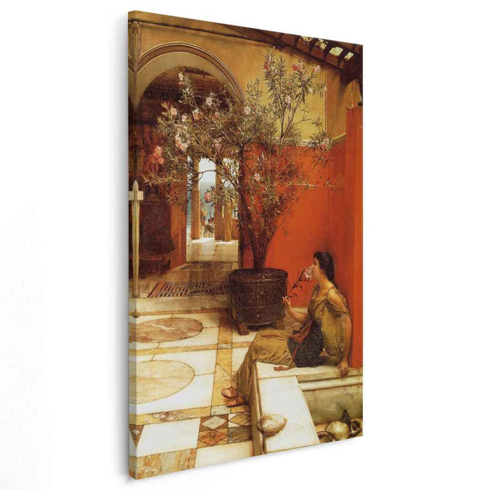 An Oleander (1882) by Sir Lawrence Alma-Tadema
