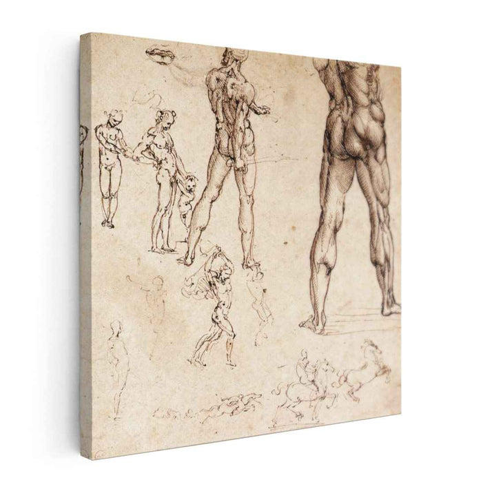 Anatomical studies (1505) by Leonardo da Vinci