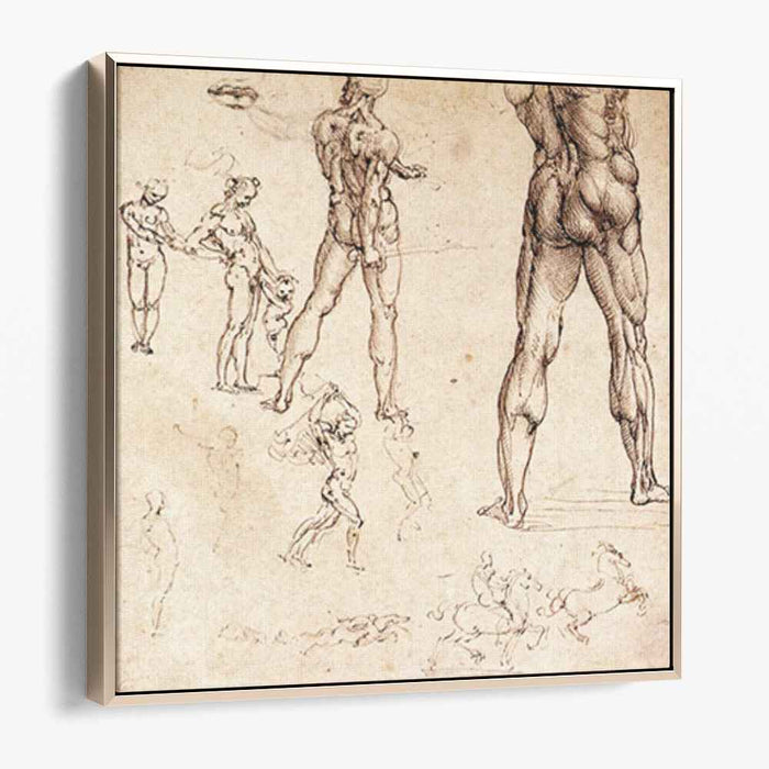 Anatomical studies (1505) by Leonardo da Vinci