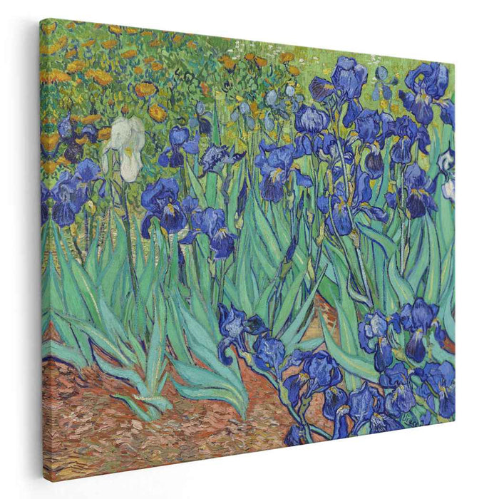 Irises (1889) by Vincent van Gogh