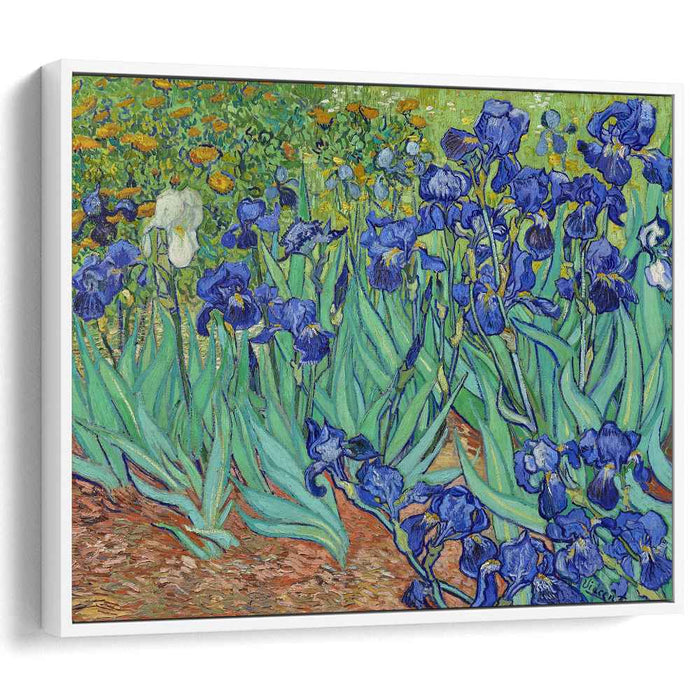 Irises (1889) by Vincent van Gogh