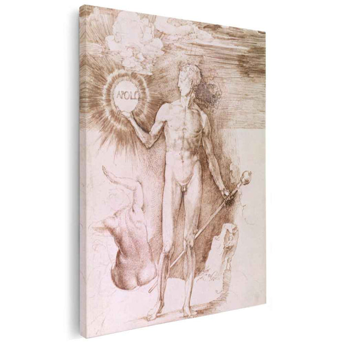 Apollo (1504) by Albrecht Durer