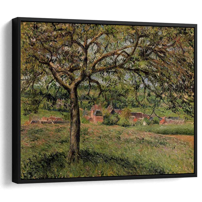 Apple Tree at Eragny (1884) by Camille Pissarro